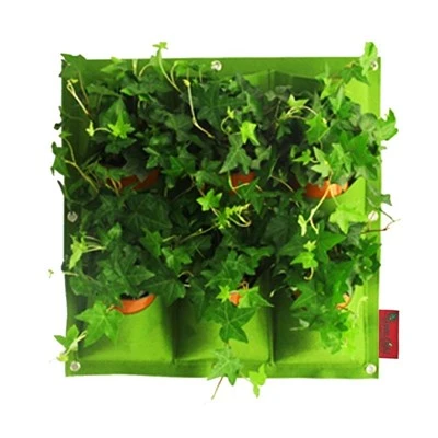 Individualizuotos 6 kišenės, kabančios vertikalios žalios sienos plantacijos